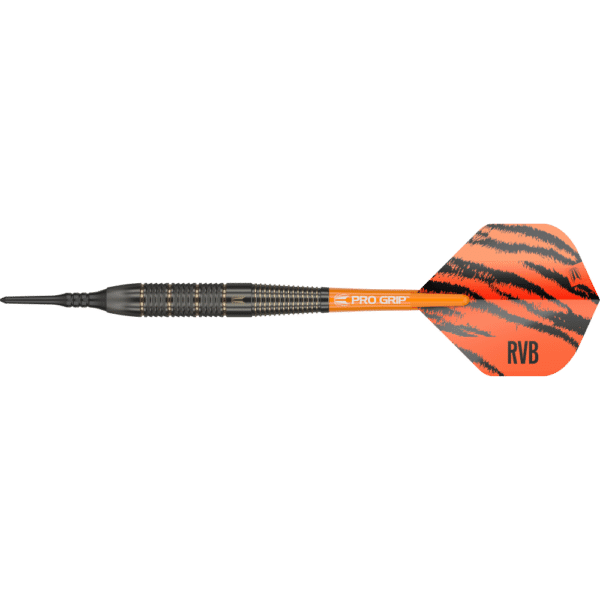 Target Raymond Van Barneveld Softdart Brass - Seitenansicht