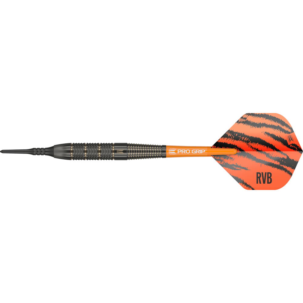 Target Raymond Van Barneveld Softdart Brass - Seitenansicht