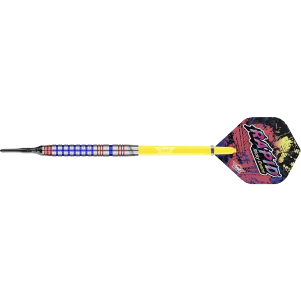 Bull's NL Ricky Evans Softdart 90%