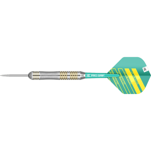 Target Rob Cross Steeldart Brass