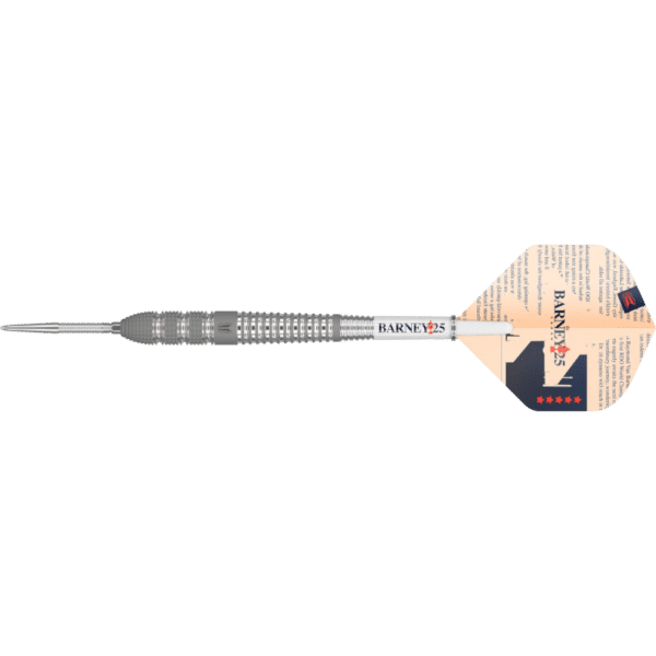 Target Raymond van Barneveld BARNEY25 Swiss Point Steeldart 95%