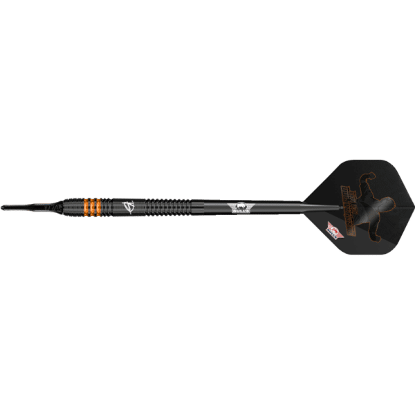 Bull's NL Dirk van Duijvenbode E2 Softdart 90%