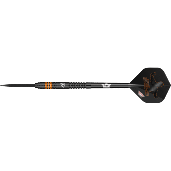 Bull's NL Dirk van Duijvenbode E2 Steeldart 90%