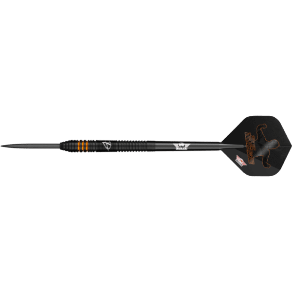 Bull's NL Dirk van Duijvenbode "Aubergenius" E2 Steeldart 90%