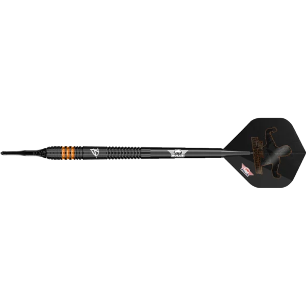 Bull's NL Dirk van Duijvenbode E2 Softdart 90%