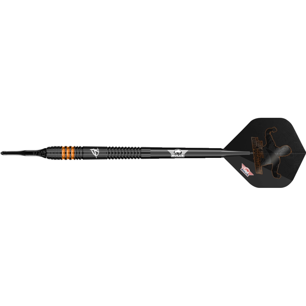 Bull's NL Dirk van Duijvenbode E2 Softdart 90%
