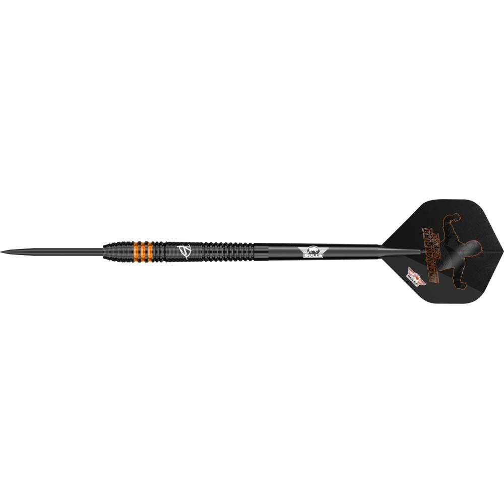 Bull's NL Dirk van Duijvenbode E2 Steeldart 90%