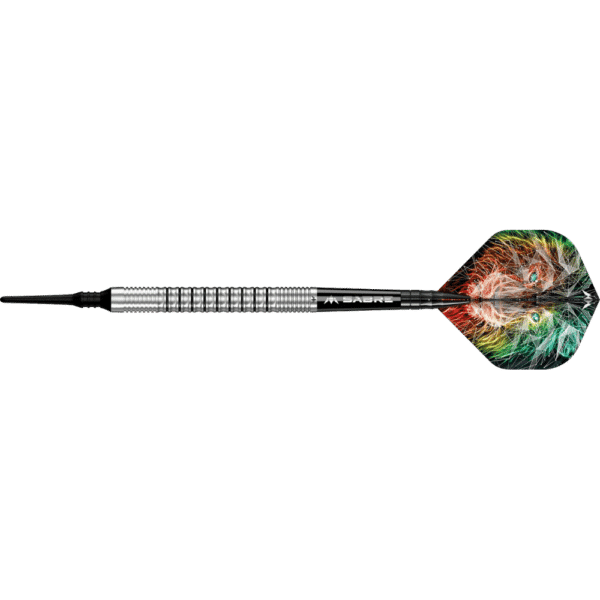 Mission Dominik Grüllich Softdart 95%