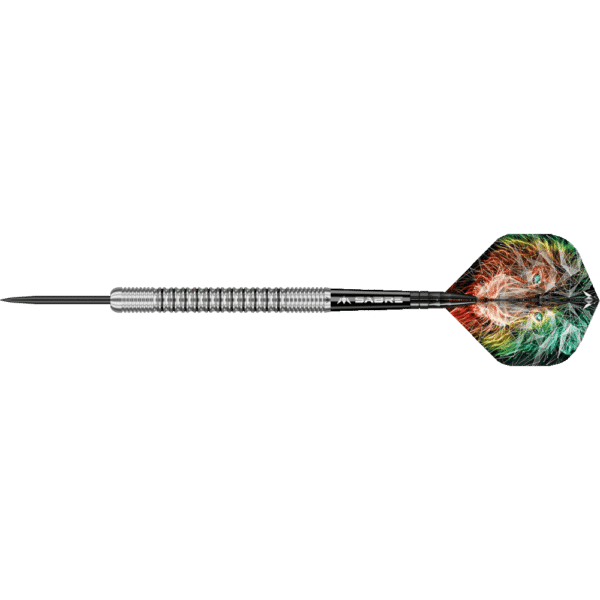 Mission Dominik Grüllich Steeldart 95%