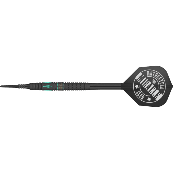 Target Japan Mikuru Suzuki The Miracle G5 Softdart 95%