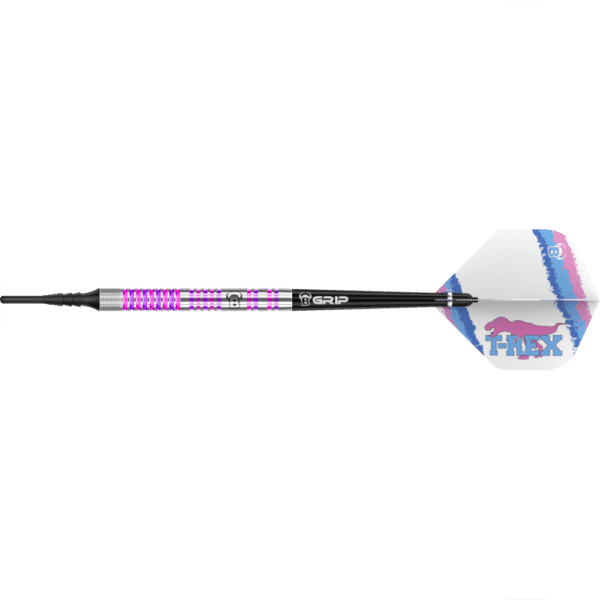 Bull's Michael Unterbuchner Challenger Softdart 90%