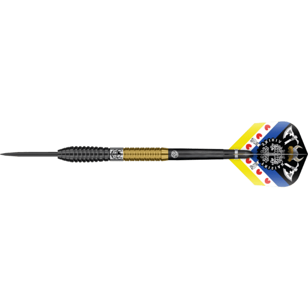 Shot Jitse van der Wal Steeldart 90%