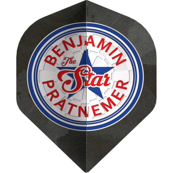 Bull's NL Player 100 Benjamin Pratnemer 90 Standard Flight